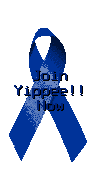 Join Yippee Now